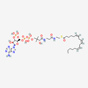 molecular formula C39H64N7O17P3S B15135057 S-[2-[3-[[(2R)-4-[[[(2R,4S,5R)-5-(6-aminopurin-9-yl)-4-hydroxy-3-phosphonooxyoxolan-2-yl]methoxy-hydroxyphosphoryl]oxy-hydroxyphosphoryl]oxy-2-hydroxy-3,3-dimethylbutanoyl]amino]propanoylamino]ethyl] (6Z,9Z,12Z)-octadeca-6,9,12-trienethioate 