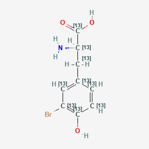 molecular formula C9H10BrNO3 B15135095 (2S)-2-amino-3-(3-bromo-4-hydroxy(1,2,3,4,5,6-13C6)cyclohexa-1,3,5-trien-1-yl)(1,2,3-13C3)propanoic acid 