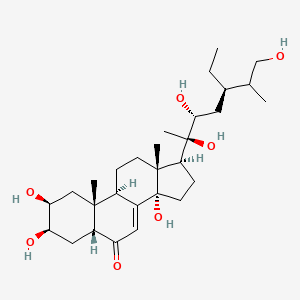 molecular formula C29H48O7 B15135828 (2S,3R,5R,9R,10R,13R,14S,17S)-17-[(2R,3R,5R)-5-ethyl-2,3,7-trihydroxy-6-methylheptan-2-yl]-2,3,14-trihydroxy-10,13-dimethyl-2,3,4,5,9,11,12,15,16,17-decahydro-1H-cyclopenta[a]phenanthren-6-one 