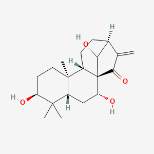 molecular formula C20H30O4 B15135935 Wangzaozin A 