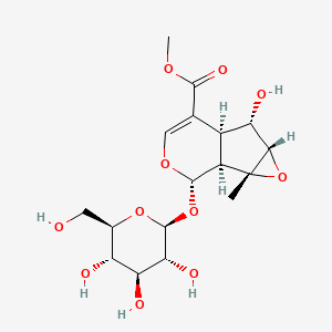 Phlorigidoside C