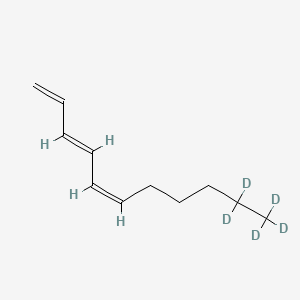 molecular formula C11H18 B15135950 (1,3E,5Z)-Undeca-1,3,5-triene-d5 