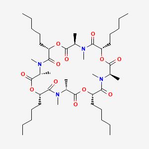 molecular formula C44H76N4O12 B15136729 Ent-(+)-Verticilide 