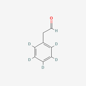 molecular formula C8H8O B15136900 2-Phenylacetaldehyde-d5 