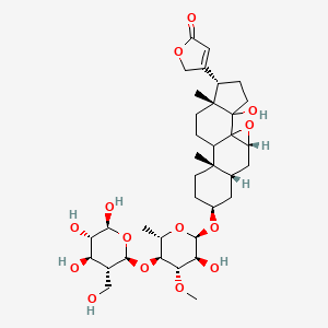 molecular formula C36H54O14 B15136927 17|A-Tanghinigenin 