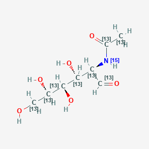 molecular formula C8H15NO6 B15137211 N-Acetyl-D-glucosamine-13C8,15N 