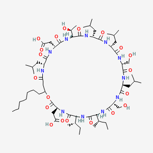 molecular formula C64H111N11O20 B15137334 Arthrofactin 