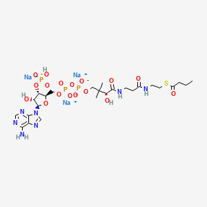 molecular formula C25H39N7Na3O17P3S B15137626 Butyryl-Coenzyme A (trisodium) 