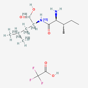 molecular formula C14H25F3N2O5 B15137819 (2S)-2-[[(2S,3S)-2-amino-3-methylpentanoyl](15N)amino]-4-(113C)methyl(1,2,3,4,5-13C5)pentanoic acid;2,2,2-trifluoroacetic acid 