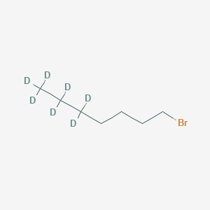 molecular formula C7H15Br B15138811 1-Bromoheptane-d7 