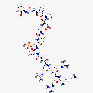 CCK1-specific peptide substrate