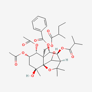 molecular formula C35H48O13 B15140883 Angulatin E 