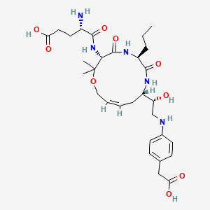 molecular formula C30H45N5O9 B15141921 Bace1-IN-9 