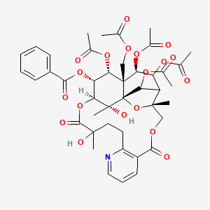 [(1R,3R,18S,19R,20R,21S,22R,23R,26R)-20,22,23,25-tetraacetyloxy-21-(acetyloxymethyl)-15,26-dihydroxy-3,15,26-trimethyl-6,16-dioxo-2,5,17-trioxa-11-azapentacyclo[16.7.1.01,21.03,24.07,12]hexacosa-7(12),8,10-trien-19-yl] benzoate