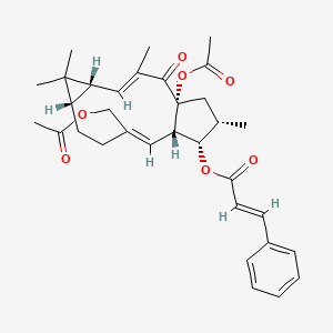 [(1R,3E,5R,7S,10Z,12S,13S,14S)-1-acetyloxy-10-(acetyloxymethyl)-3,6,6,14-tetramethyl-2-oxo-13-tricyclo[10.3.0.05,7]pentadeca-3,10-dienyl] (E)-3-phenylprop-2-enoate