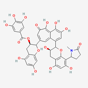 molecular formula C41H35NO17 B15143131 [(3R)-5,7-dihydroxy-2-[3,4,5-trihydroxy-6-oxo-1-[(3R)-3,5,7-trihydroxy-8-(1-methyl-5-oxopyrrolidin-2-yl)-3,4-dihydro-2H-chromen-2-yl]benzo[7]annulen-8-yl]-3,4-dihydro-2H-chromen-3-yl] 3,4,5-trihydroxybenzoate 