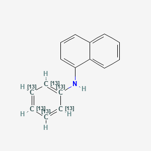 molecular formula C16H13N B15143193 N-Phenylnaphthalen-1-amine-13C6 