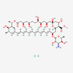 molecular formula C48H76ClNO17 B15144003 Amphotericin B, methyl ester, hydrochloride CAS No. 35375-29-2