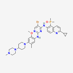 molecular formula C36H46BrN8O2P B15144455 Egfr-IN-29 