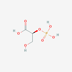 molecular formula C3H7O7P B15145016 (S)-3-Hydroxy-2-(Phosphonooxy)Propanoic Acid CAS No. 23295-92-3