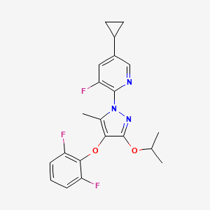 Dhodh-IN-1