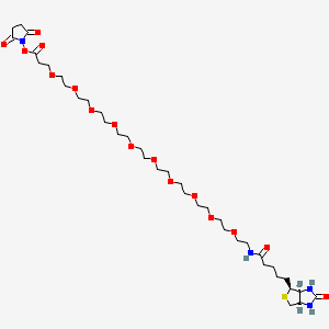 molecular formula C37H64N4O16S B15145427 Biotin-PEG10-NHS ester 