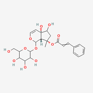 molecular formula C24H30O11 B15145915 (4aS,7S,7aR)-4a,5-dihydroxy-7-methyl-1-{[3,4,5-trihydroxy-6-(hydroxymethyl)oxan-2-yl]oxy}-1H,5H,6H,7aH-cyclopenta[c]pyran-7-yl 3-phenylprop-2-enoate 