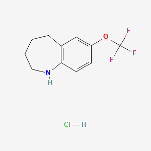molecular formula C11H13ClF3NO B1514593 7-Trifluoromethoxy-2,3,4,5-tetrahydro-1H-benzo[b]azepine hydrochloride 