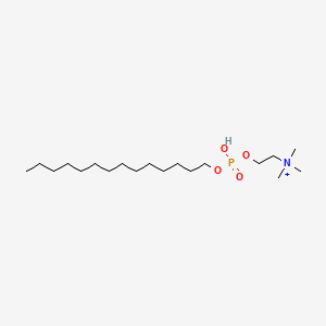 molecular formula C19H43NO4P+ B15146392 Fos-choline-14 