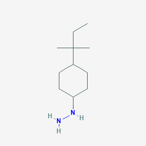 molecular formula C11H24N2 B15146556 [4-(2-Methylbutan-2-yl)cyclohexyl]hydrazine CAS No. 1016536-32-5