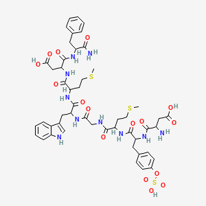 molecular formula C49H62N10O16S3 B15146643 H-DL-Asp-DL-Tyr(SO3H)-DL-Met-Gly-DL-Trp-DL-Met-DL-Asp-DL-Phe-NH2 