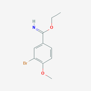 molecular formula C10H12BrNO2 B15147202 3-Bromo-4-methoxybenzimidic acid ethyl ester CAS No. 777828-03-2