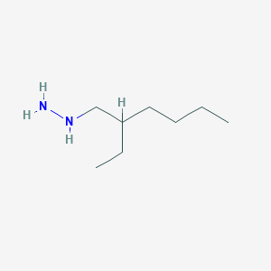 molecular formula C8H20N2 B15147340 (2-Ethyl-hexyl)-hydrazine CAS No. 887591-66-4