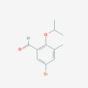 molecular formula C11H13BrO2 B1515022 5-Bromo-3-methyl-2-(propan-2-yloxy)benzaldehyde 