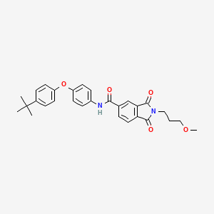 N-[4-(4-tert-butylphenoxy)phenyl]-2-(3-methoxypropyl)-1,3-dioxoisoindole-5-carboxamide