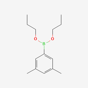 molecular formula C14H23BO2 B15158545 Dipropyl (3,5-dimethylphenyl)boronate CAS No. 659726-33-7