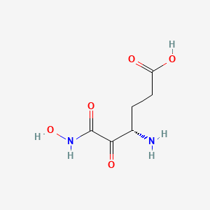 molecular formula C6H10N2O5 B15158788 (4S)-4-amino-6-(hydroxyamino)-5,6-dioxohexanoic acid CAS No. 656831-31-1