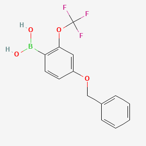 molecular formula C14H12BF3O4 B1516089 (4-(Benzyloxy)-2-(trifluoromethoxy)phenyl)boronic acid 