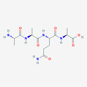 molecular formula C14H25N5O6 B15162036 L-Alanyl-L-alanyl-L-glutaminyl-L-alanine CAS No. 669710-78-5