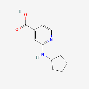 molecular formula C11H14N2O2 B1517081 2-(环戊基氨基)异烟酸 CAS No. 1019127-19-5