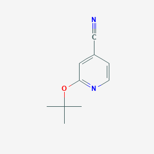 molecular formula C10H12N2O B1517639 2-(叔丁氧基)吡啶-4-碳腈 CAS No. 1037131-17-1