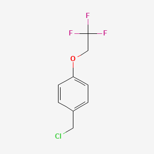 molecular formula C9H8ClF3O B1517644 1-(氯甲基)-4-(2,2,2-三氟乙氧基)苯 CAS No. 115773-19-8