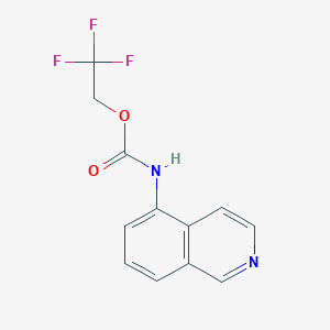molecular formula C12H9F3N2O2 B1517723 2,2,2-trifluoroethyl N-(isoquinolin-5-yl)carbamate CAS No. 1152953-99-5