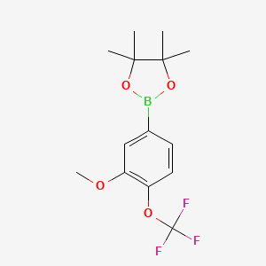molecular formula C14H18BF3O4 B1518313 3-Mthoxy-4-(trifluoromethoxy)phenylboronic acid pinacol ester 