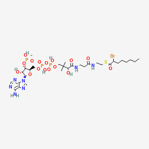 molecular formula C29H48BrN7O16P3S+ B15183393 Bromooctanoyl-coa CAS No. 71605-35-1