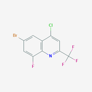 molecular formula C10H3BrClF4N B1518603 6-Bromo-4-chloro-8-fluoro-2-(trifluoromethyl)quinoline CAS No. 1156277-85-8