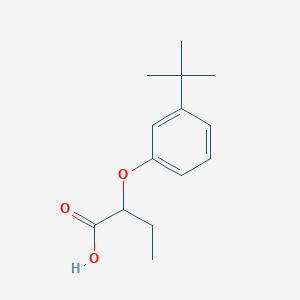 molecular formula C14H20O3 B1518631 2-(3-叔丁基苯氧基)丁酸 CAS No. 1157985-51-7