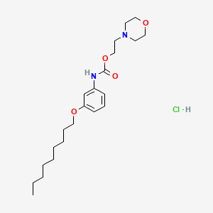 Carbamic acid, (3-(nonyloxy)phenyl)-, 2-(4-morpholinyl)ethyl ester, monohydrochloride