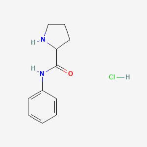 molecular formula C11H15ClN2O B1518697 N-Phenyl-2-pyrrolidinecarboxamide hydrochloride CAS No. 1078162-90-9