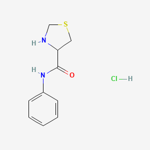 molecular formula C10H13ClN2OS B1518699 N-phenyl-1,3-thiazolidine-4-carboxamide hydrochloride CAS No. 1078162-97-6